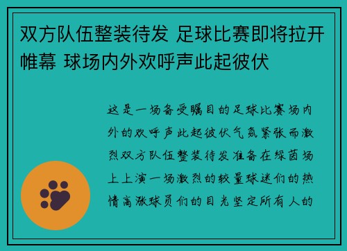 双方队伍整装待发 足球比赛即将拉开帷幕 球场内外欢呼声此起彼伏